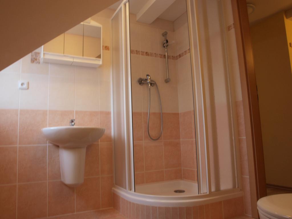 Apartments Viktoria Klinovec Kovarska Ngoại thất bức ảnh
