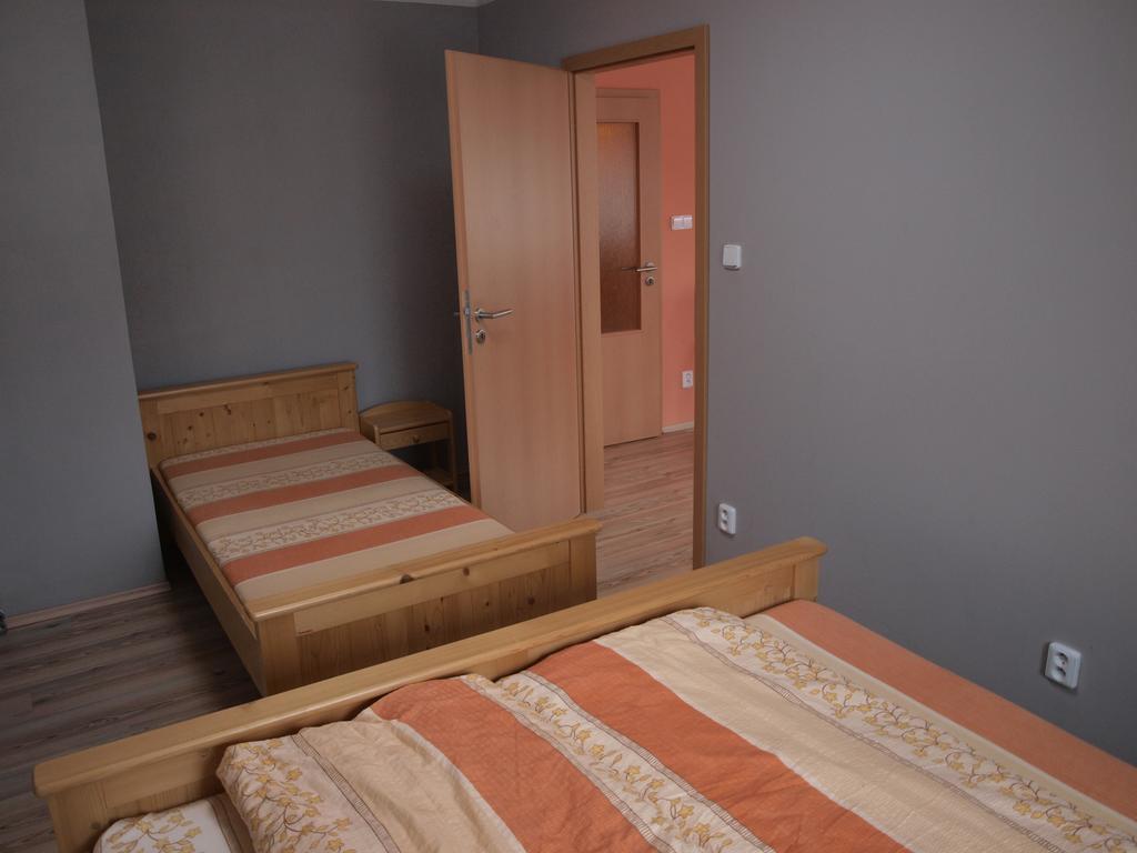 Apartments Viktoria Klinovec Kovarska Ngoại thất bức ảnh